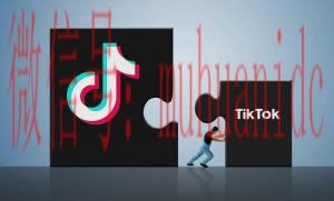 tiktok账号购买平台