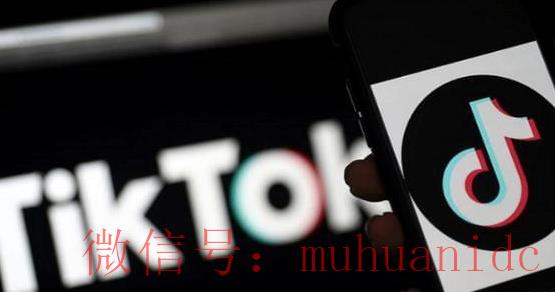 tiktok账号购买平台