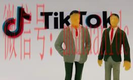 tiktok账号购买平台
