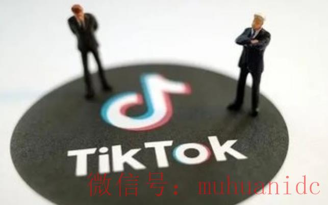 tiktok账号购买平台