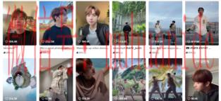 tiktok账号购买平台