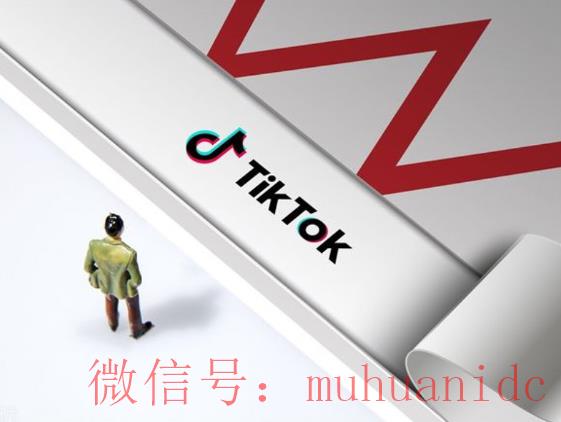 tiktok账号购买平台