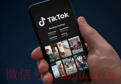 tiktok账号购买平台