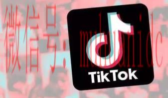 tiktok账号购买平台