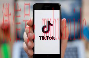 tiktok账号购买平台