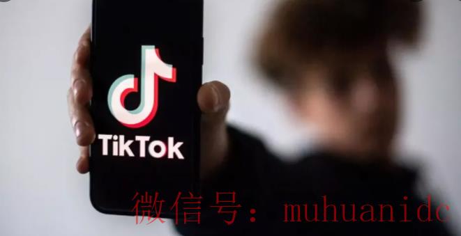 tiktok账号购买平台