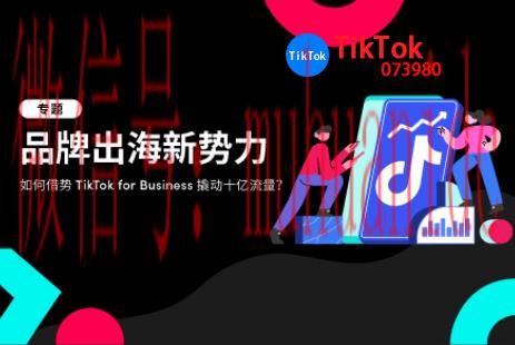 tiktok账号购买平台