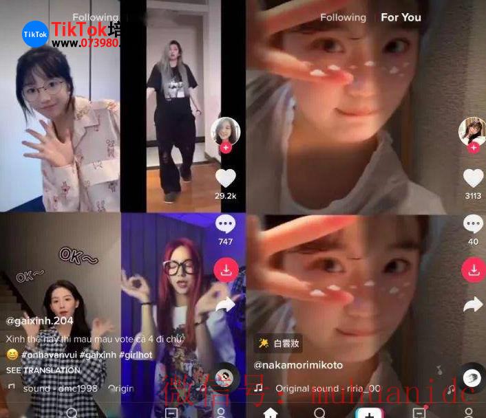 tiktok账号购买平台