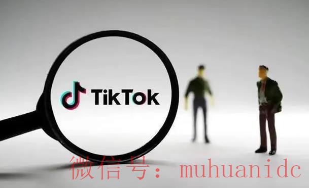 tiktok账号购买平台