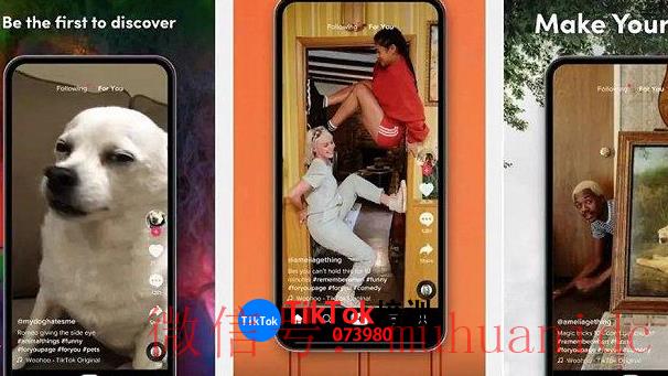 tiktok账号购买平台