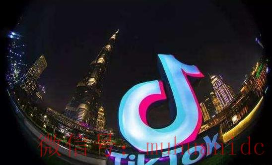 tiktok账号购买平台