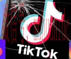 tiktok账号购买平台