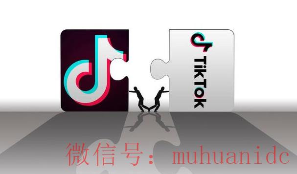 tiktok账号购买平台