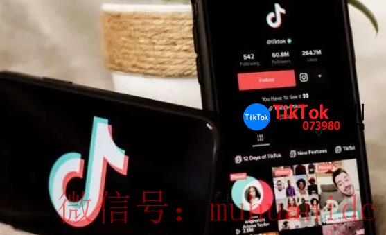 tiktok账号购买平台