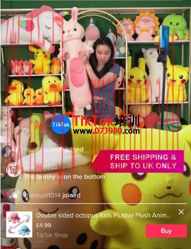 tiktok账号购买平台