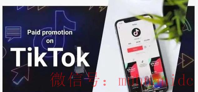 tiktok账号购买平台