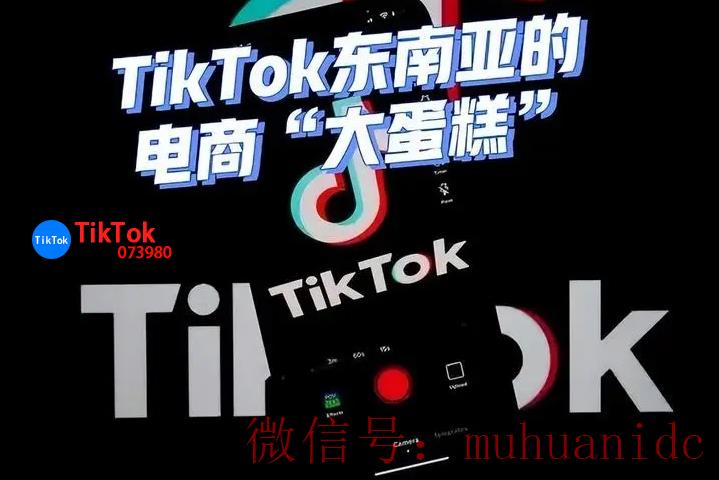 tiktok账号购买平台