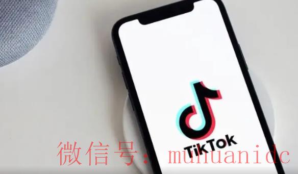 tiktok账号购买平台