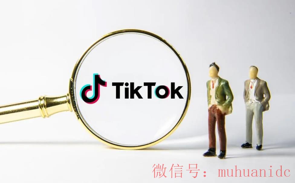 tiktok账号购买平台