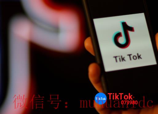 tiktok账号购买平台