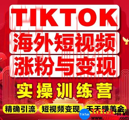 tiktok账号购买平台