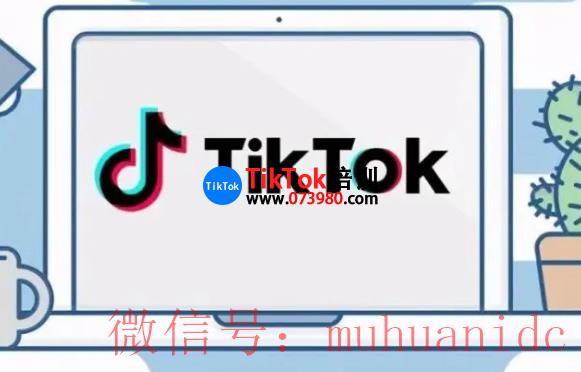 tiktok账号购买平台
