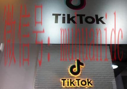 tiktok账号购买平台