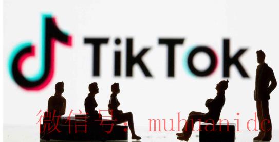 tiktok账号购买平台