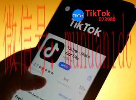 tiktok账号购买平台