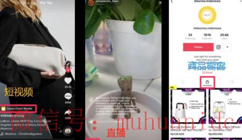 tiktok账号购买平台