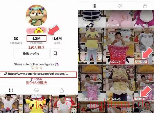 tiktok账号购买平台