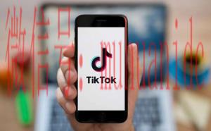 tiktok账号购买平台