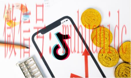 tiktok账号购买平台