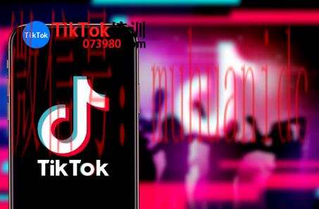 tiktok账号购买平台