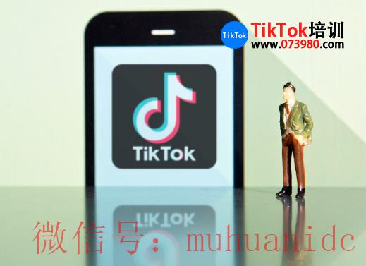 tiktok账号购买平台