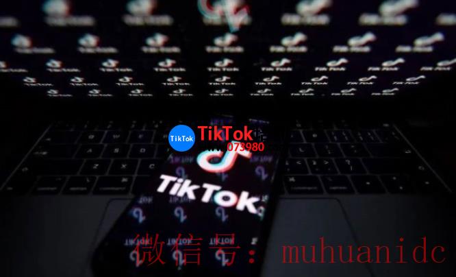 tiktok账号购买平台