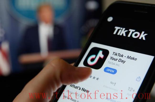 tiktok账号购买平台