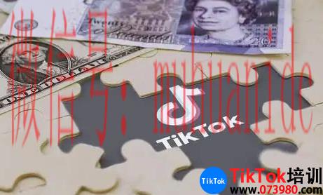 tiktok账号购买平台