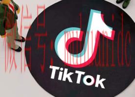 tiktok账号购买平台