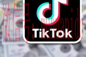tiktok账号购买平台