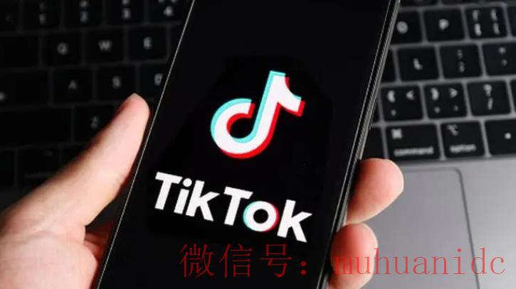 tiktok账号购买平台