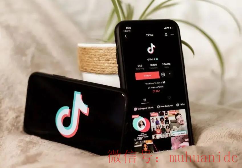 tiktok账号购买平台