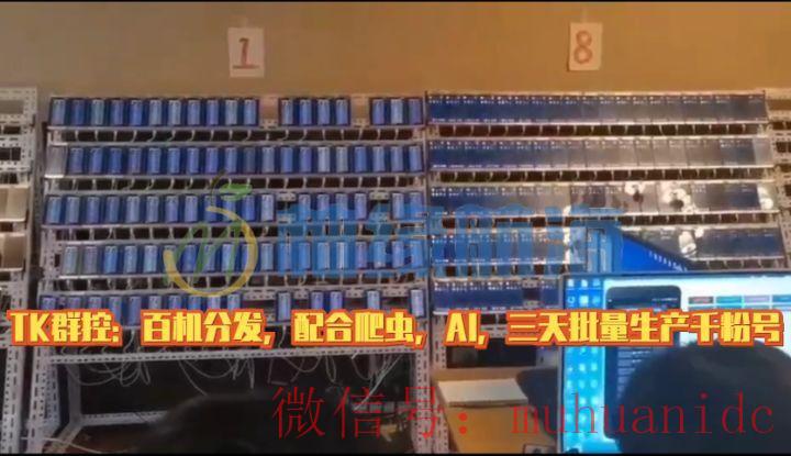 tiktok账号购买平台