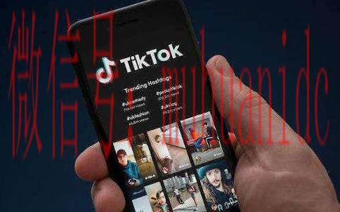 tiktok账号购买平台