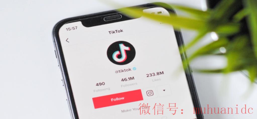 tiktok账号购买平台