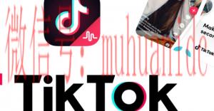 tiktok账号购买平台
