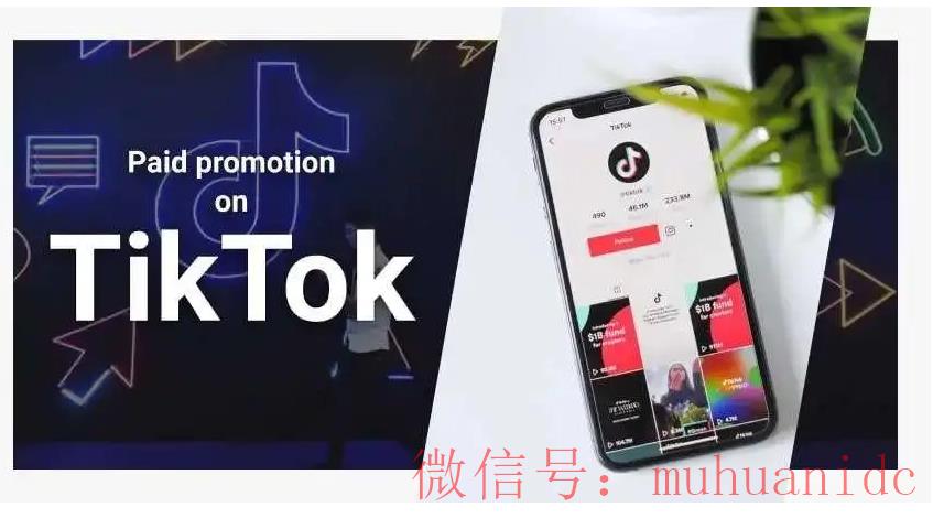 tiktok账号购买平台