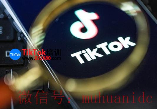 tiktok账号购买平台