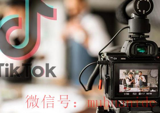 tiktok账号购买平台