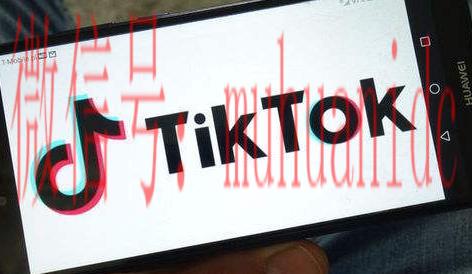 tiktok账号购买平台